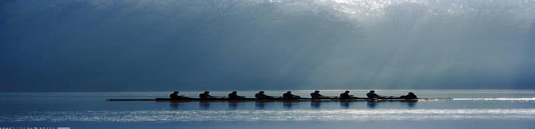 世界杯官方入口一站式场馆解决方案